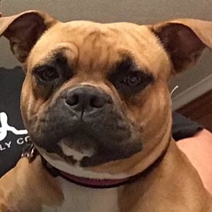 Meet your Posher, Maribel